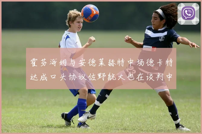 霍芬海姆与安德莱赫特中场德卡特达成口头协议佐野航大也在谈判中